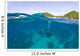 Apo Island Marine Park Negros Oriental Island Wall Mural
