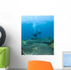 Apo Island Marine Park, Philippines, Asia Wall Mural