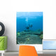 Apo Island Marine Park, Philippines, Asia Wall Mural