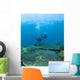 Apo Island Marine Park, Philippines, Asia Wall Mural