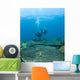Apo Island Marine Park, Philippines, Asia Wall Mural