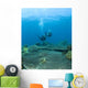 Apo Island Marine Park, Philippines, Asia Wall Mural