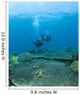 Apo Island Marine Park, Philippines, Asia Wall Mural
