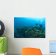 Apo Island Marine Park, Philippines, Southeast Asia Wall Mural