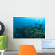 Apo Island Marine Park, Philippines, Southeast Asia Wall Mural