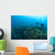 Apo Island Marine Park, Philippines, Southeast Asia Wall Mural
