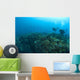 Apo Island Marine Park, Philippines, Southeast Asia Wall Mural