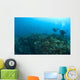 Apo Island Marine Park, Philippines, Southeast Asia Wall Mural