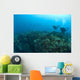 Apo Island Marine Park, Philippines, Southeast Asia Wall Mural