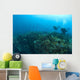 Apo Island Marine Park, Philippines, Southeast Asia Wall Mural