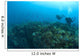 Apo Island Marine Park, Philippines, Southeast Asia Wall Mural