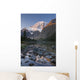 Mount Edith Cavell, Jasper National Park, Alberta, Canada Wall Mural