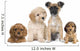 Group Puppy Dogs