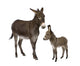 Donkey and Foal Wall Decal