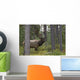 Jasper National Park, Jasper, Alberta, Canada Wall Mural