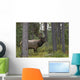 Jasper National Park, Jasper, Alberta, Canada Wall Mural