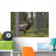 Jasper National Park, Jasper, Alberta, Canada Wall Mural