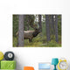 Jasper National Park, Jasper, Alberta, Canada Wall Mural