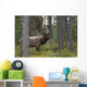 Jasper National Park, Jasper, Alberta, Canada Wall Mural