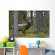 Jasper National Park, Jasper, Alberta, Canada Wall Mural