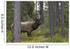 Jasper National Park, Jasper, Alberta, Canada Wall Mural
