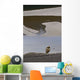 Medicine Lake, Jasper National Park, Jasper, Alberta, Canada Wall Mural