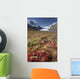 Columbia Icefield, Jasper National Park, Alberta, Canada Wall Mural