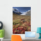 Columbia Icefield, Jasper National Park, Alberta, Canada Wall Mural