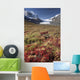 Columbia Icefield, Jasper National Park, Alberta, Canada Wall Mural