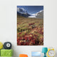 Columbia Icefield, Jasper National Park, Alberta, Canada Wall Mural