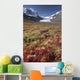 Columbia Icefield, Jasper National Park, Alberta, Canada Wall Mural