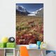 Columbia Icefield, Jasper National Park, Alberta, Canada Wall Mural