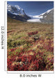 Columbia Icefield, Jasper National Park, Alberta, Canada Wall Mural