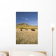 American Bison Wall Mural