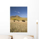 American Bison Wall Mural