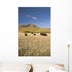 American Bison Wall Mural