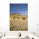 American Bison Wall Mural
