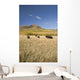 American Bison Wall Mural