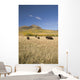 American Bison Wall Mural