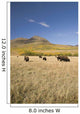 American Bison Wall Mural
