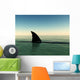 Shark Wall Mural