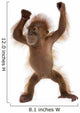Baby Sumatran Orangutan Standing Wall Decal Design 2