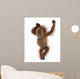 Baby Sumatran Orangutan Wall Decal