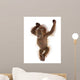 Baby Sumatran Orangutan Wall Decal