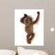 Baby Sumatran Orangutan Wall Decal