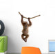 Baby Sumatran Orangutan hanging on rope against white background Wall Decal