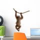 Baby Sumatran Orangutan hanging on rope against white background Wall Decal