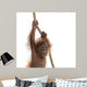 Baby Sumatran Orangutan Hanging