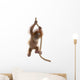 Baby Sumatran Orangutan hanging on rope against white background Wall Decal