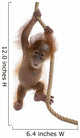 Baby Sumatran Orangutan hanging on rope against white background Wall Decal